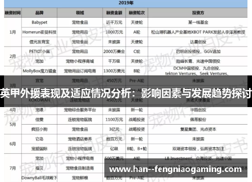 英甲外援表现及适应情况分析:影响因素与发展趋势探讨 英甲外援表现及适应情况分析:影响因素与发展趋势探讨